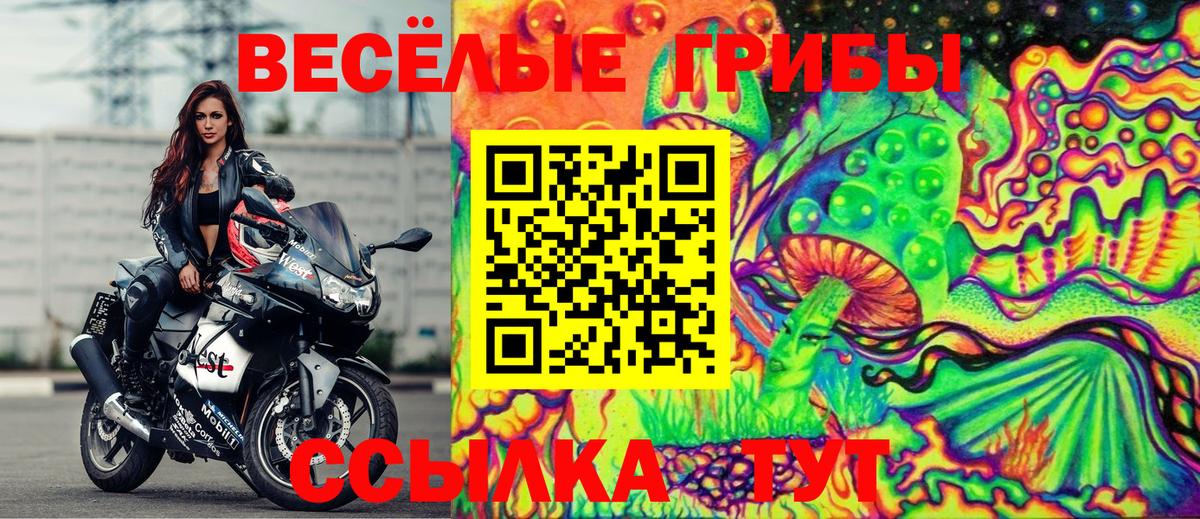 Галлюциногенные грибы Psilocybine cubensis Ишим